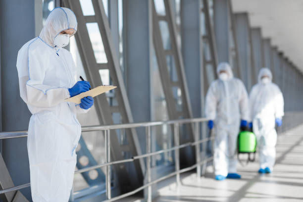 Best Environmental Consulting for Mold Prevention  in West Point, UT