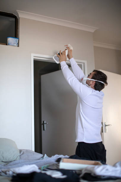 Best Attic Mold Removal  in West Point, UT