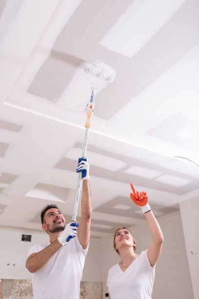Best Industrial Mold Remediation  in West Point, UT
