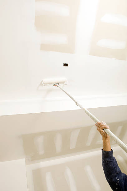 Best Mold Damage Restoration  in West Point, UT