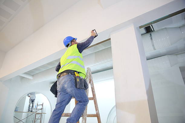 Best Crawl Space Mold Remediation  in West Point, UT